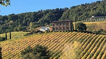 From the Bustling Center of Rome to the Hidden Gems of Tuscany