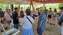 Coffe Tour and Chorotega Cultural Experience on the Blue zone 