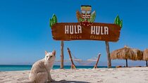 Hula Hula Island Snorkeling and Water Sport With Lunch - Hurghada