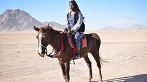 Experience Horse Ride 2 Hours Adventure Desert & Sea - Hurghada