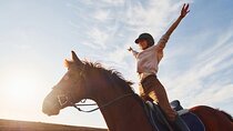 2 Hour Horse Riding at the Amazing Desert & transfer – Marsa Alam
