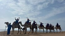 Sunset Camel Ride tour with Barbecue dinner in the beach