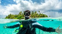 Scuba Diving Catalina Island from Punta Cana