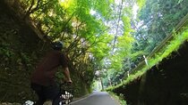 Bamboo Forest and More by E-BIKE! No crowds, no pros needed!