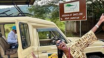 Full Day Shared Akagera Safari Tour with Lunch and Coffee