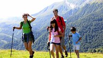 5-Day Garden Route Safari & Botlierskop Game Reserve fro CapeTown