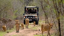 3 Day Garden Route Private Tour