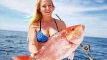 Full-Day Private Fishing Trip with Fishing Gear & Dinner-Hurghada