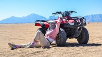 ATV Quad & Jeep With Buggy Car Camel Ride with Dinner -Hurghada