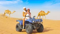 3 Hours ATV Quad & Camel Riding With Transfer - Sharm El Sheikh