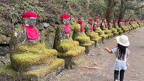 1 Day Nikko Walking Tour, Toshogu and Kanmangafuchi from Tokyo