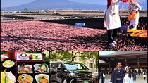 ”All Inclusive・Private Tour" Sakura Shrimp and Ukiyoe experience 