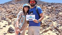 Day tour to White Desert and Bahariya Oasis Tour