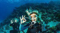 PADI Open Water Diving Course 3-Day with Pickup - Sharm El Sheikh