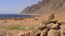 3 Pools National Park ATV Quad & Camel by Bus - Sharm El Sheikh