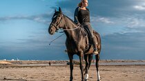 Horse Riding 2 Hours Desert Adventure with Transfer - Marsa Alam