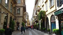 Guided Exploration of Brera Gallery and Artistic District