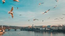 Private Prague Tour - 4 hours driving