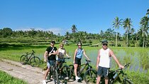 Bali Downhill Natural Cycling Tour & visit Volcano 