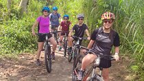 Ubud Wonderful Afternoon Downhill Cycling Tour 