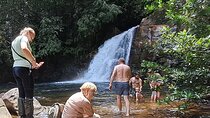 Sinharaja Rainforest Trip