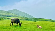 Private Yangmingshan & Beitou Tour from Taipei with Pickup