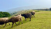 Full-day Tour in Yangmingshan & Beitou from Taipei