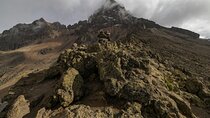 Private Day Tour to Mount Kenya from Nairobi