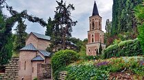 Vineyards Culture and Heritage Tour in Kakheti