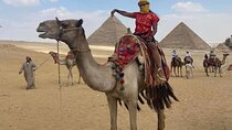 Cairo layover to Giza pyramids and Sphinx