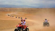 Morning Escapade 1H Quad and 1H Camel Ride in Agafay