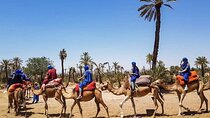 Camel Ride Through Palmeraie Valley with Transfers - Marrakech