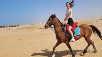 Horse Riding one Hour In the wonderful desert - Hurghada