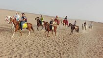 2 Hours Desert Horse Riding Adventure with Transfer - Marsa Alam