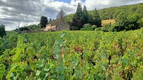 Half Day Private Beaujolais Wine Tour 