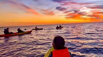 Florida Sunset and Bioluminescence Package