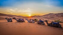 3Days 2Nights Moroccan Desert Expedition From Fes to Marrakech