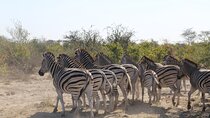5-Day Explore Zimbabwe, Zambia and Botswana