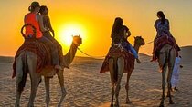 Enjoy Agafay Camel Ride & Sunset Dinner with Transfer - Marrakesh