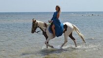 1-Hour Horse Riding in Nabq With Transfer – Sharm El Sheikh