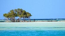 Hamata & Qulaan Islands Snorkeling Trip with Lunch - Marsa Alam