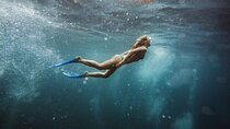 Abu Dabbab Snorkeling Trip, Explore Marine Life - Marsa Alam