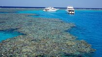 Coral Garden Snorkeling and Diving tour with Lunch - Marsa Alam