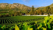 Private Tour of Constantia Wine & Kirstenbosch Gardens Experience
