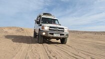 Super Safari Jeep, Sunset, Dinner, Camel & Show - Marsa Allam