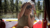 Private Food Tasting and Filmmaking Tour in Mexico City