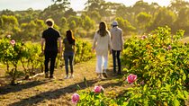 Jurlique Farm Tour
