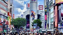 All Inclusive Private "Neo Tokyo Tour" on a Luxury Car