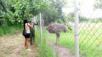 Accra Zoo & Aburi Botanical Gardens Tour 