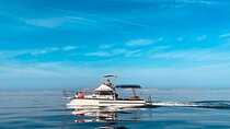Private Boat Tour to Croatian Islands